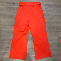 Load image into Gallery viewer, Antonio Melani Size 14 PANTS
