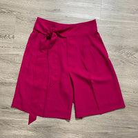 Load image into Gallery viewer, LAUREN Size 8 SHORTS
