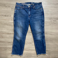Load image into Gallery viewer, J CREW Size 32/14 PANTS
