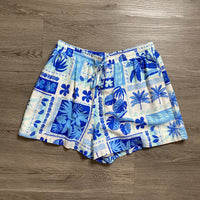 Load image into Gallery viewer, Hudson Gray Size LARGE SHORTS
