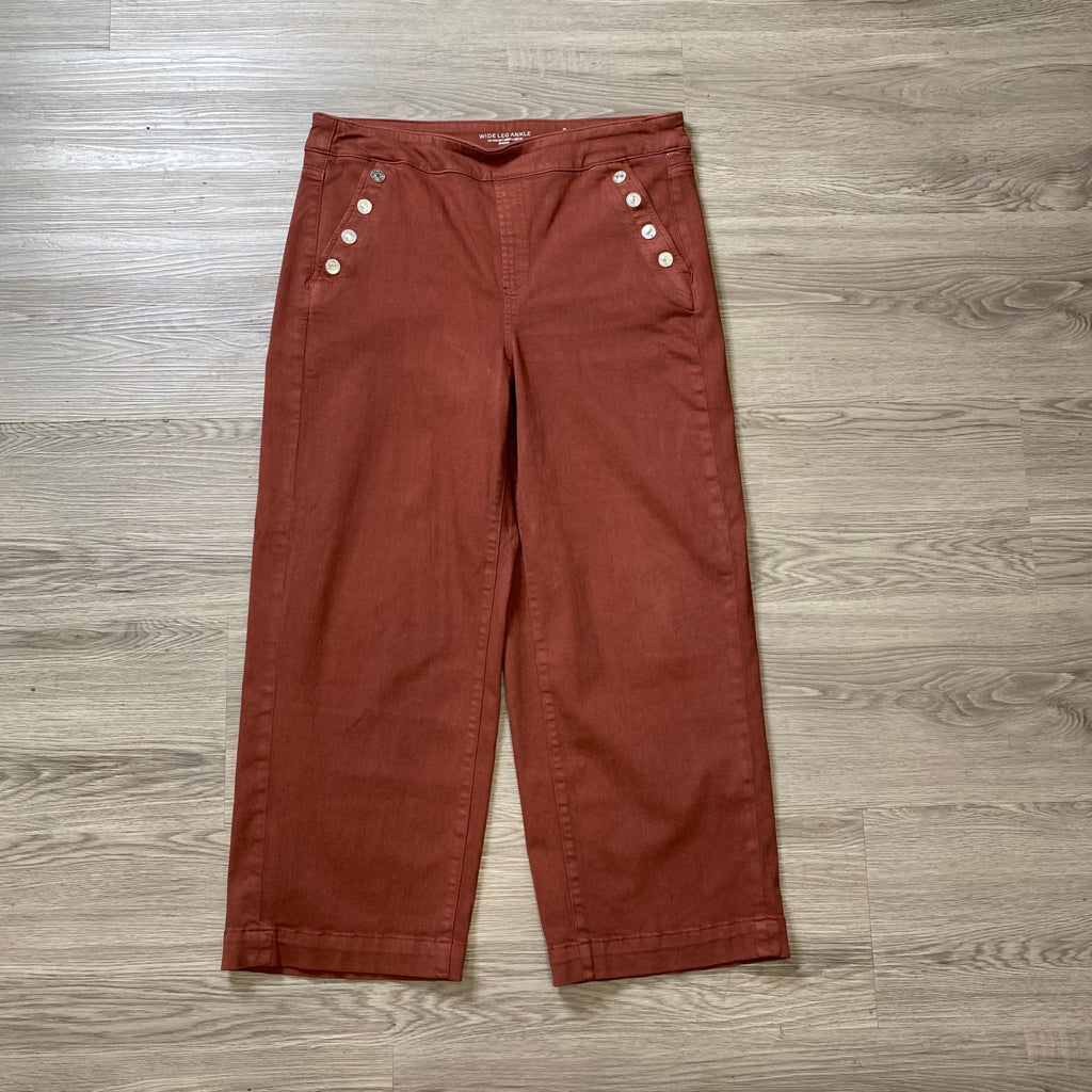 CHICOS Size 12 PANTS