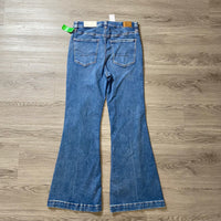 Load image into Gallery viewer, American Eagle Size 31/12 PANTS

