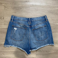 Load image into Gallery viewer, Good American Size 30/10 SHORTS
