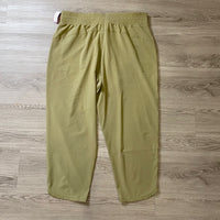 Load image into Gallery viewer, SPANX Size 2X PLUS
