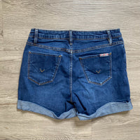 Load image into Gallery viewer, HUDSON Size 8 BOUTIQUE
