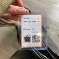 Load image into Gallery viewer, Louis Vuitton DESIGNER
