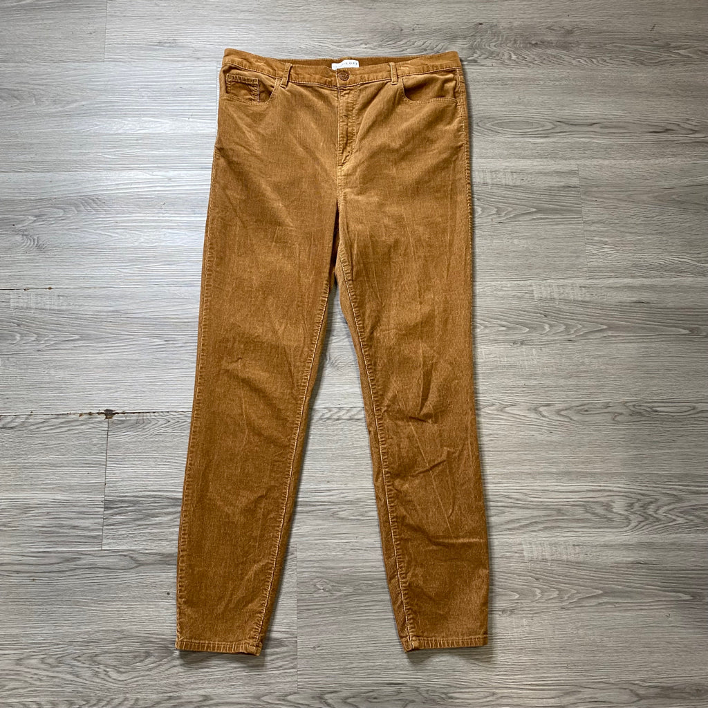 LOFT Size 33/16 PLUS